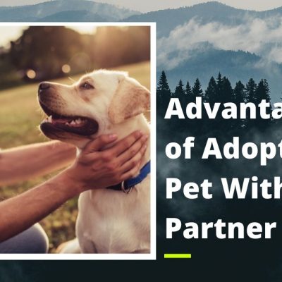 Advantages of Adopting a Pet With Your Partner