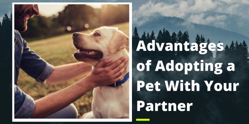 Advantages of Adopting a Pet With Your Partner