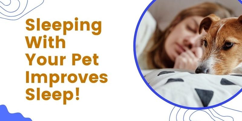 Sleeping With Your Pet Improves Sleep