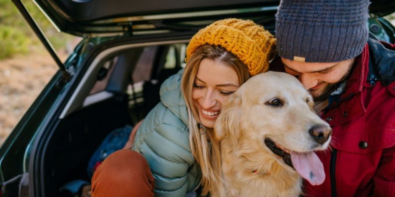 Best Dog Breeds for Couples