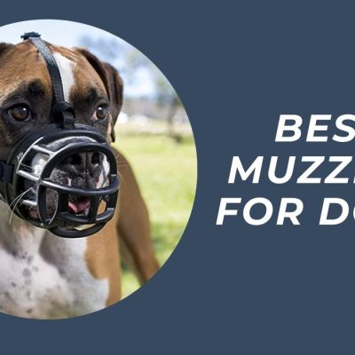Muzzles for Dogs