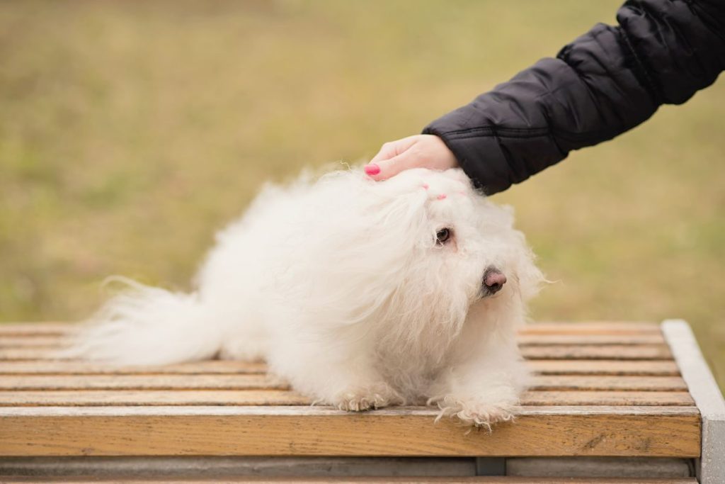 Source: Getty Images