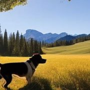 Best Dogs for Hunting