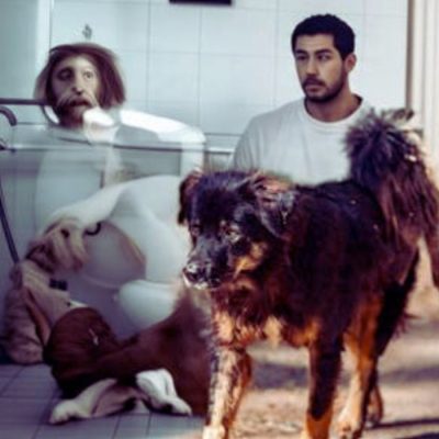 Why Do Dogs Follow You into the Bathroom