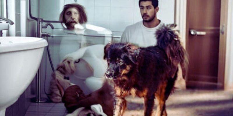 Why Do Dogs Follow You into the Bathroom